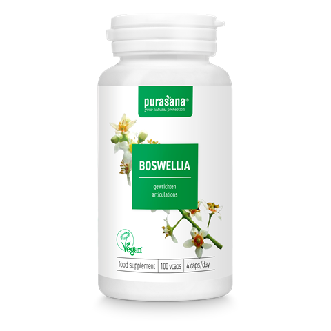Boswellia Extract