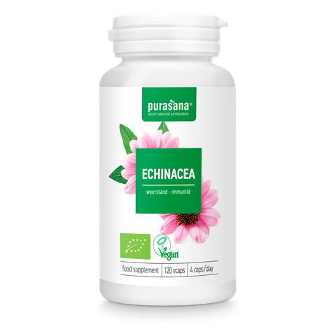 Echinacea