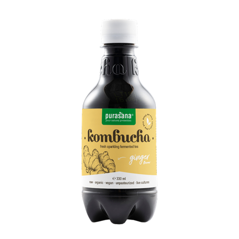 Kombucha fresh ginger