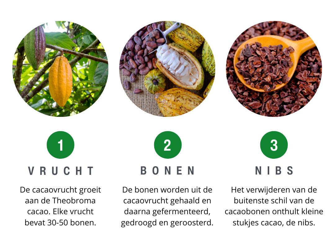Verschil tussen cacao bonen en cacao nibs