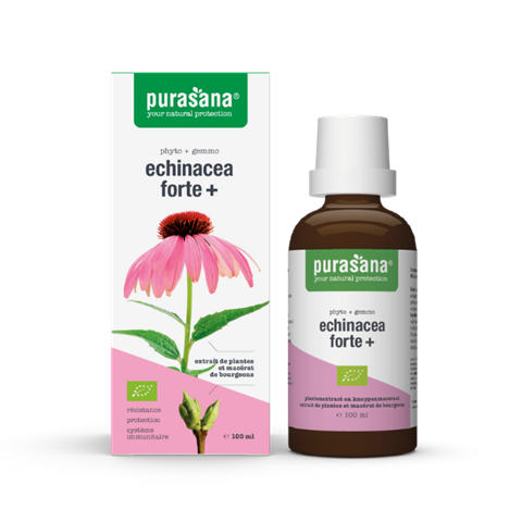 Echinacea Forte + 100ml