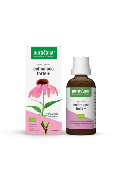 Echinacea Forte + 100ml