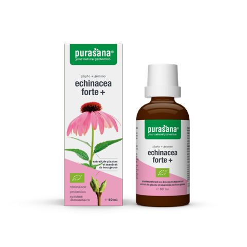 Echinacea Forte 50ml