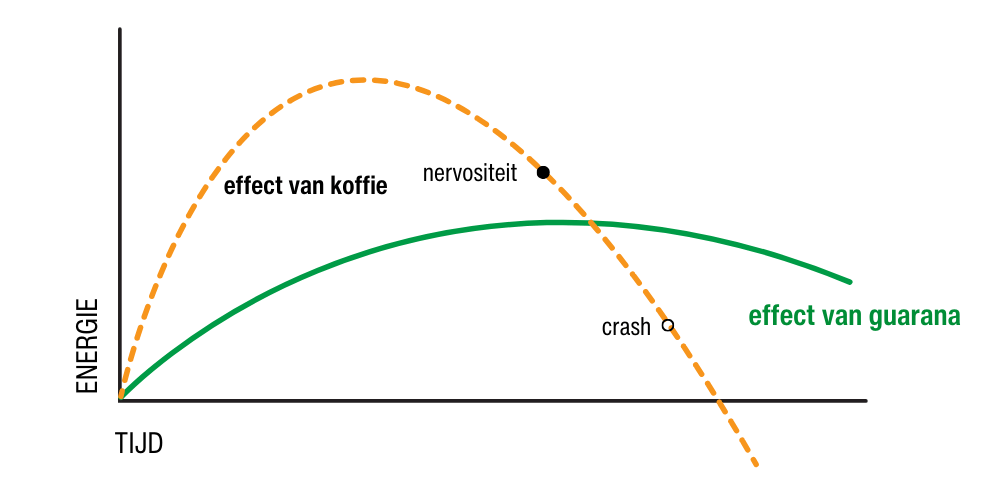 guarana koffie effect