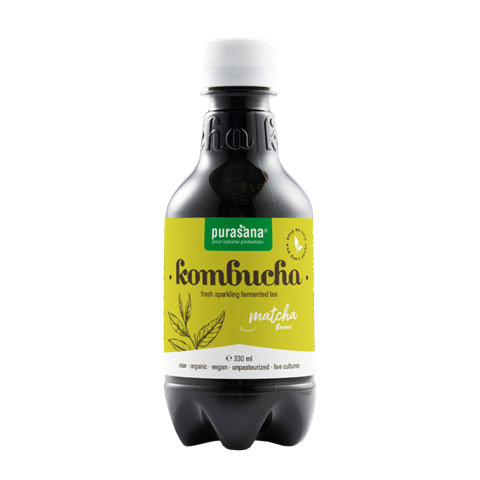Kombucha matcha